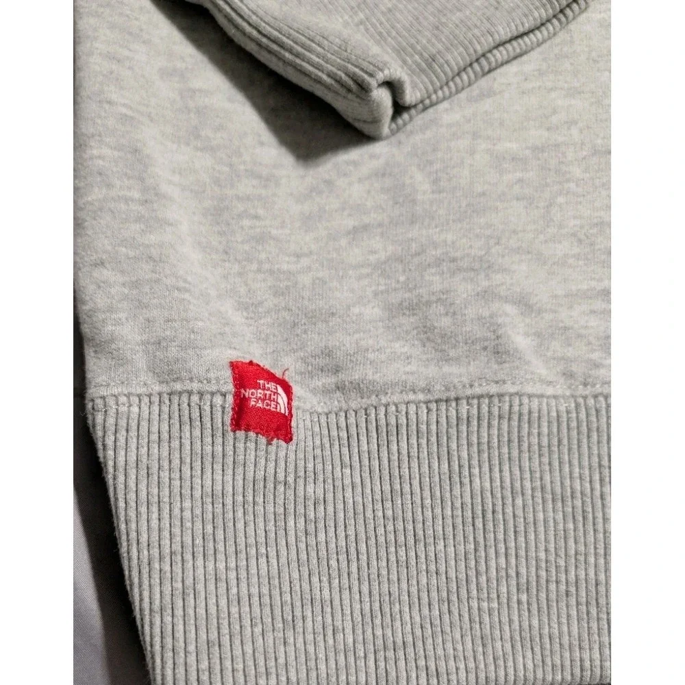 The North Face Trans Antarctica Expedition‎ 90 Hoodie Mens M Gray Graphic